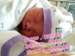 定制性别~女宝诞生记